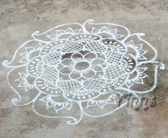 Paisley Kolam
