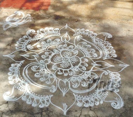 Paisley Kolam - 5