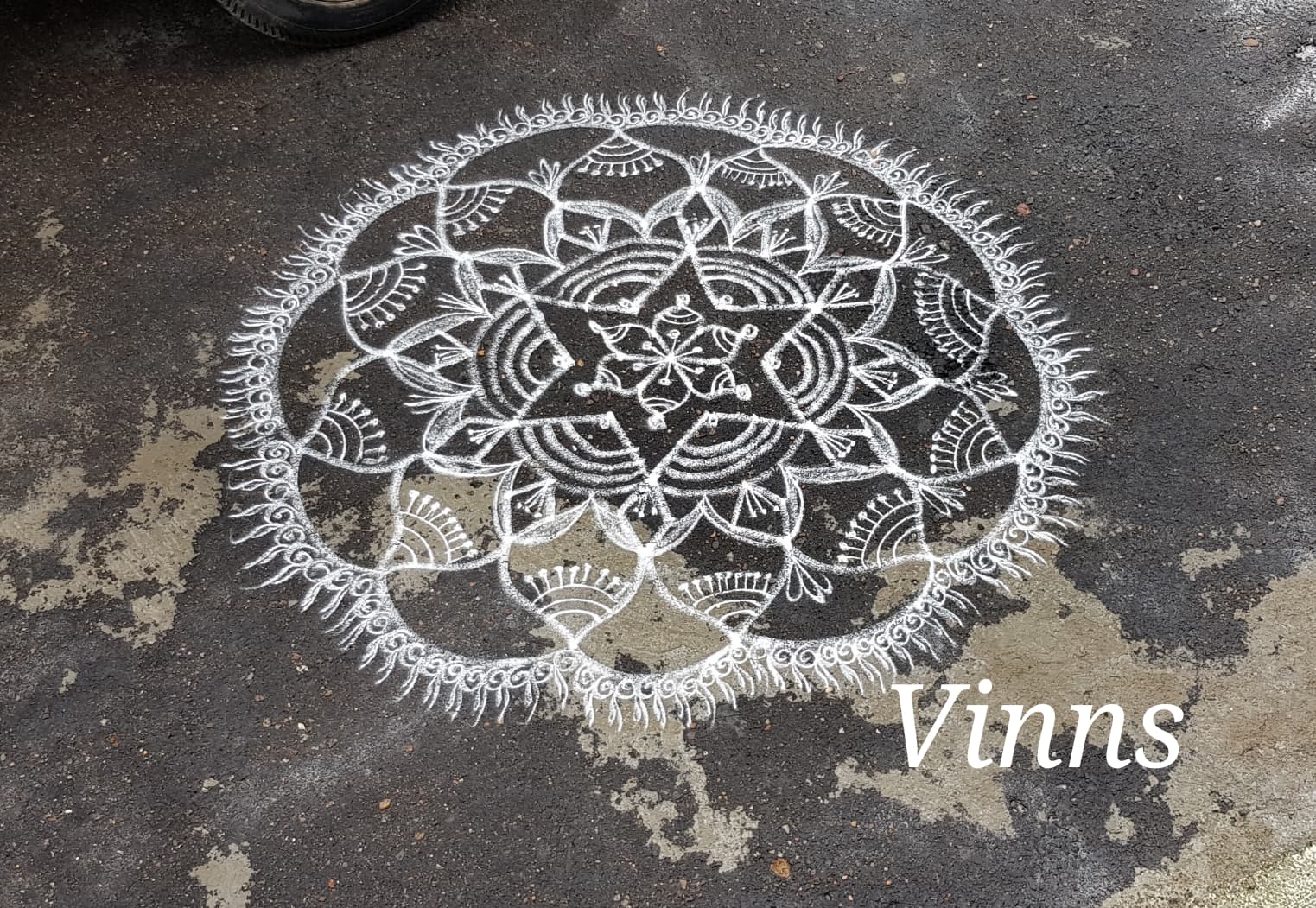 Margazhi Kolam || Big Rangoli ||Pushyamu Maasa Chukkaleni Muggulu